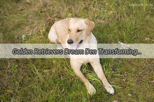 Golden Retrievers Dream Den Transforming Your Home into a Cozy Haven for Mans Best Friend